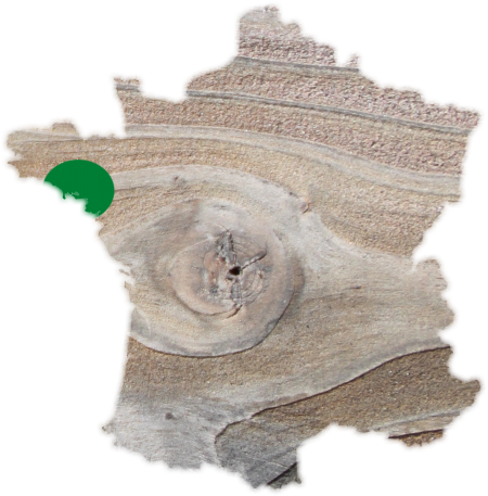 Carte France